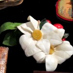 Автор фото председатель НСНБР А.Г.Огнивцев IMG_5271_1