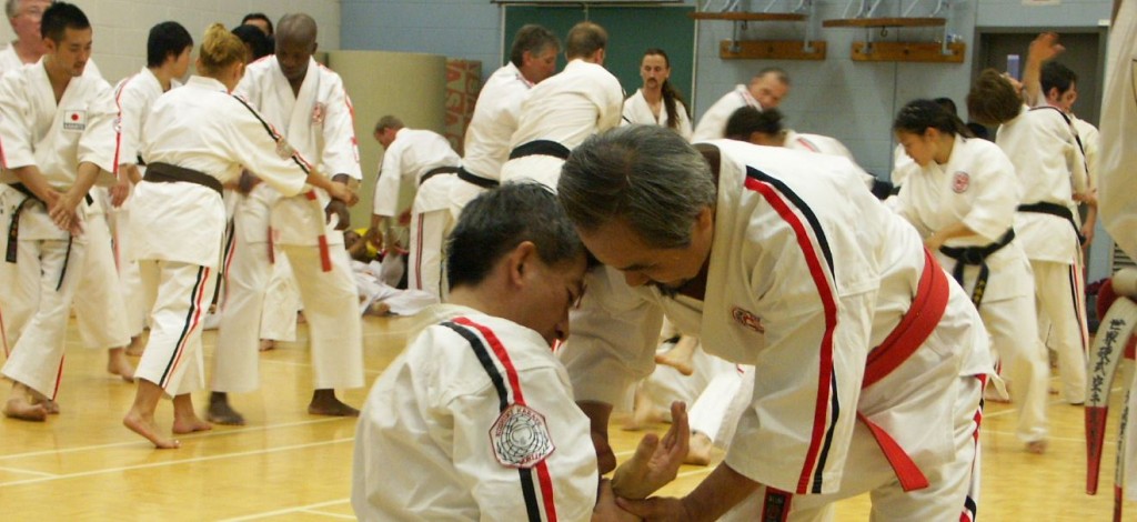 Косики каратэ. Победа сборной России. Чемпионат мира 2007. Канада. 04012014_66n