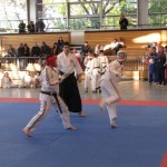 WKKU. Koshiki karate. World Championship. Germany. Berlin. 2011. IMG_1764-1