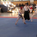 WKKU. Koshiki karate. World Championship. Germany. Berlin. 2011. IMG_1767_1