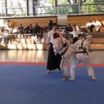 WKKU. Koshiki karate. World Championship. Germany. Berlin. 2011. IMG_1770_1