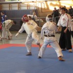 WKKU. Koshiki karate. World Championship. Germany. Berlin. 2011. IMG_1807_1
