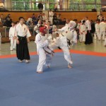 WKKU. Koshiki karate. World Championship. Germany. Berlin. 2011. IMG_1849-1