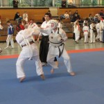 WKKU. Koshiki karate. World Championship. Germany. Berlin. 2011. IMG_1850-1