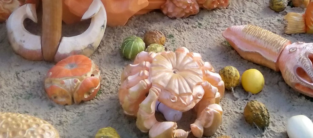 Фестиваль Золотая осень. Москва. 49 площадок продуктов. Автор фото председатель НСНБР А.Г.Огнивцев. 26092016_25