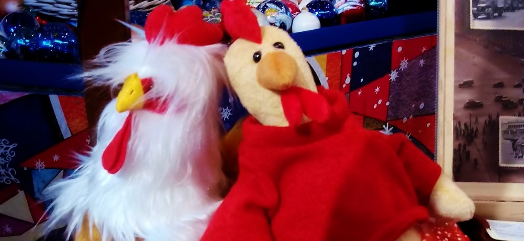 Автор фото председатель НСНБР А.Г.Огнивцев