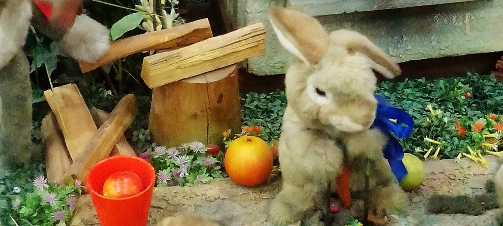 Автор фото председатель НСНБР А.Г.Огнивцев