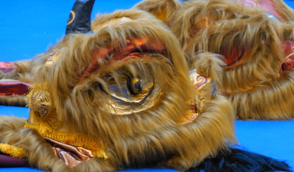 Автор фото председатель НСНБР А.Г.Огнивцев 28012017-16