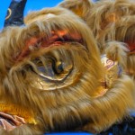 Автор фото председатель НСНБР А.Г.Огнивцев 28012017-16