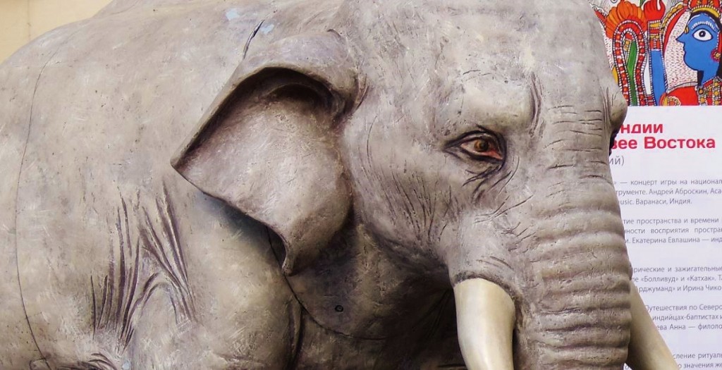 Автор фото председатель НСНБР А.Г.Огнивцев