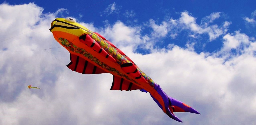 Автор фото председатель НСНБР А.Г.Огнивцев