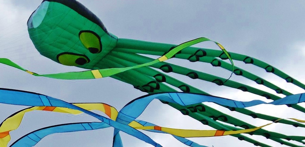 Автор фото председатель НСНБР А.Г.Огнивцев