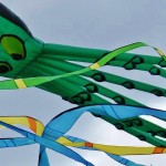 Автор фото председатель НСНБР А.Г.Огнивцев