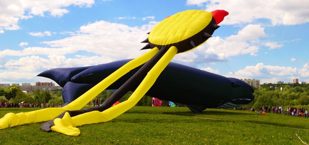 Автор фото председатель НСНБР А.Г.Огнивцев