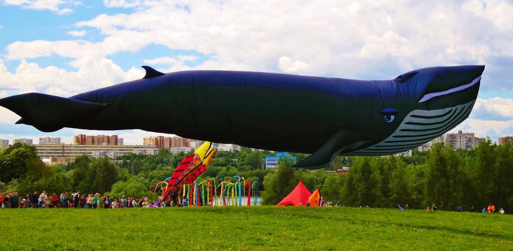 Автор фото председатель НСНБР А.Г.Огнивцев