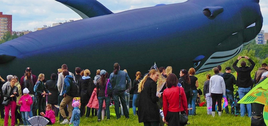 Автор фото председатель НСНБР А.Г.Огнивцев