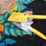 Автор фото председатель НСНБР А.Г.Огнивцев