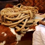 Автор фото председатель НСНБР А.Г.Огнивцев