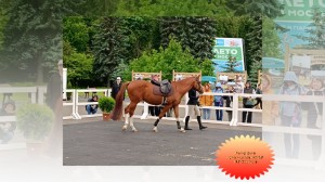 30052026_fs6